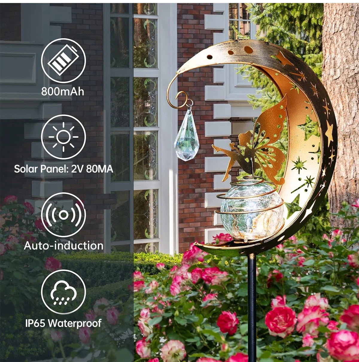 Solar Moon and Fairy Garden Light